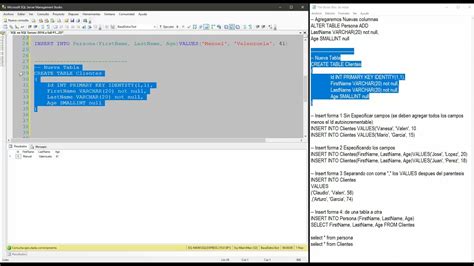 insertar columna en sql